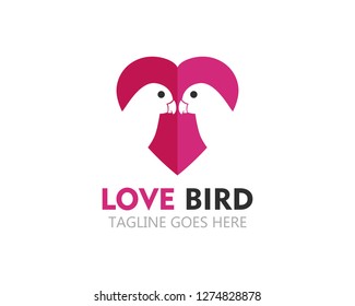 beauty lovebird logo vector icon template