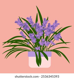 Beauty minimalist aesthetic blooming lavender in pot. vector illustration design for interior element design