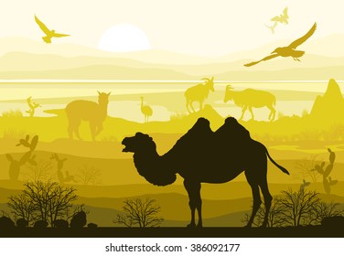 Beauty of nature with wild animals (camel, goat, bird, ostrich, alpaca)