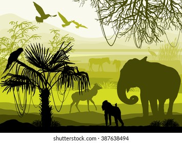 Beauty of nature with wild animals (elephant, monkey, antelope, parrot, bird, horse, heron)