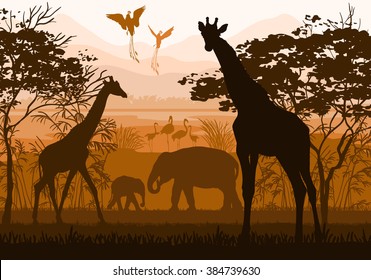 Beauty of nature with wild animals (giraffe, elephant, flamingo, bird of paradise)