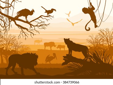 Beauty of nature with wild animals (lion, wild boar, goat, cormorant, monkey, bird, peacock,)