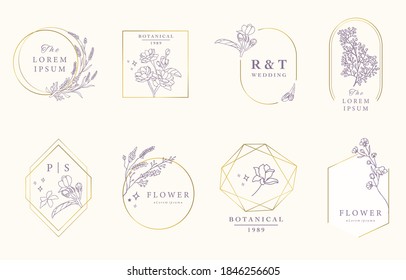 Beauty occult design collection with lavender,jasmine.Vector illustration for icon,sticker,printable and tattoo