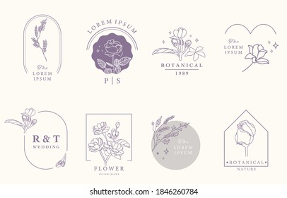 Beauty occult design collection with lavender,jasmine.Vector illustration for icon,sticker,printable and tattoo