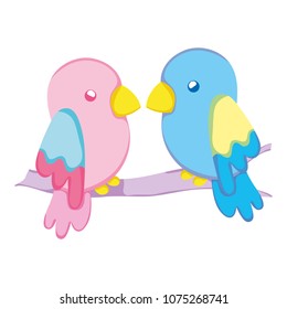 beauty parrot couple bird animal