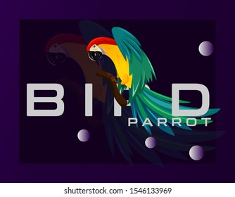 beauty of parrot vector background illustration