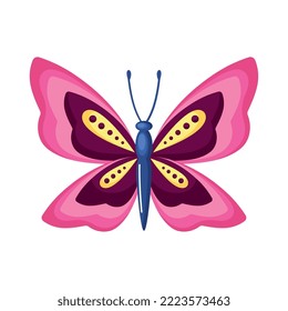 beauty pink butterfly insect icon