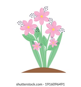 beauty pink colors flowers and leafs spring season plant vector illustration design