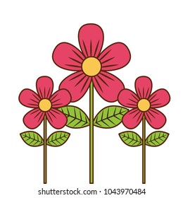 beauty pink flowers decoration leaves stem petals