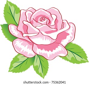 beauty pink rose background. Vector illustration