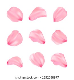 Beauty Pink Sakura Petals Set. Vector Romantic Flower.  Illustration. Elegance Petal For Background. Isolated Petals