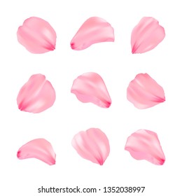 Beauty pink sakura petals set. Vector romantic flower.  Illustration. Elegance petal for background. Isolated petals