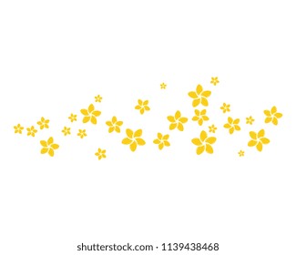 Beauty plumeria icon flowers design illustration Template
