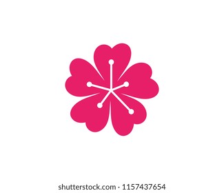 Beauty plumeria icon flowers design illustration Template