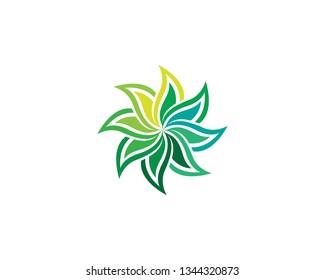 Beauty Plumeria Icon Flowers Design Illustration Template