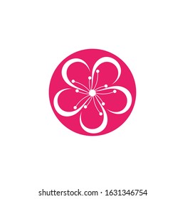 Beauty plumeria icon flowers design illustration Template