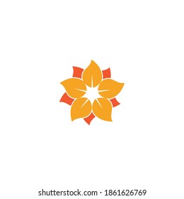 Beauty plumeria icon flowers design illustration Template