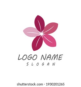 Beauty plumeria icon flowers design illustration Template