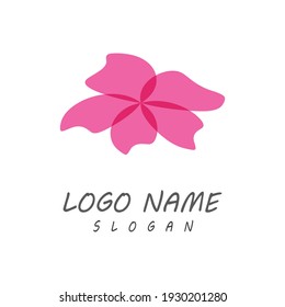 Beauty plumeria icon flowers design illustration Template