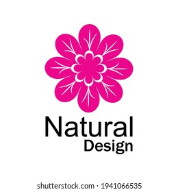 Beauty plumeria icon flowers design illustration Template