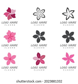 Beauty plumeria icon flowers design illustration Template