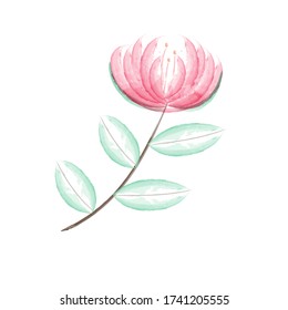 Beauty red blossom flower watercolor