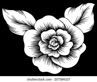 The beauty of rose.