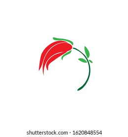 Beauty rose flower vector icon design template