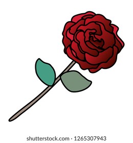 beauty rose with leafs