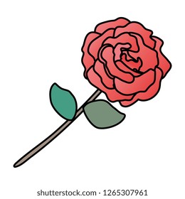 beauty rose with leafs