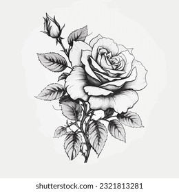 Beauty rose outline art tattoo design element