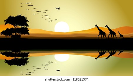 beauty safari of giraffe with landscape background