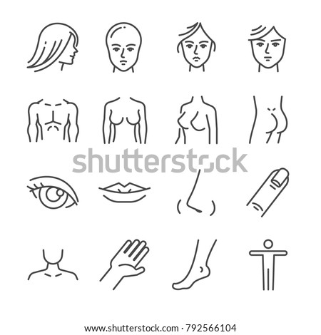 Beauty salon body parts line icon set. Included the icons as face, hair, eye, breasts, hand, hips, butt and more.