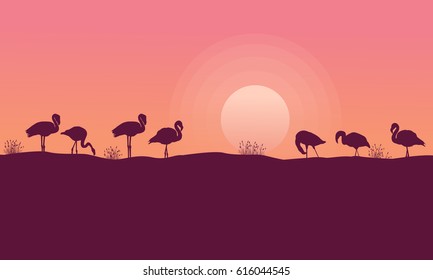 Beauty sceney flamingo silhouettes collection