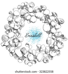 Beauty set of various sea shells vector.