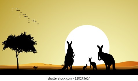 beauty silhouette of kangaroo family with sunset background