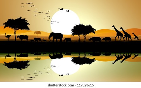 Beauty Silhouette Of Safari Animal