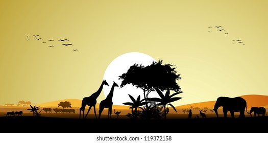 beauty silhouette of safari animal wildlife