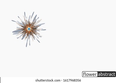 beauty splash leafs floral gray abstract texture abstract