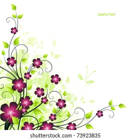 Tarjeta de primavera de belleza