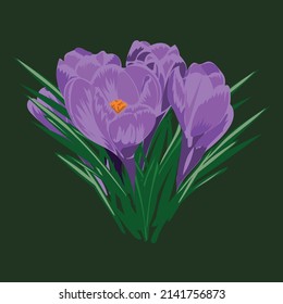 Flor de primavera de belleza para el fondo. Ilustración del vector