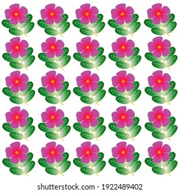 The beauty of spring will be seen by the growing flowers everywhere. One of them is the type of flower in this design, namely Vinca. 