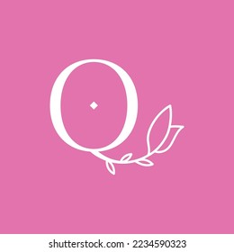 BEAUTY STUDIO LOGO LETTER Q