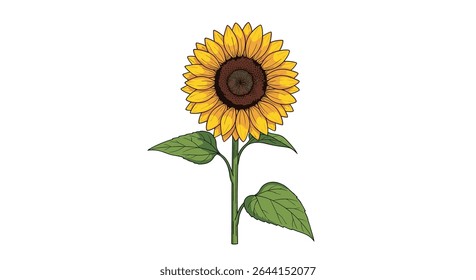 The Beauty of the Sunflower A Golden Symbol of Warmth and Positivity in Nature