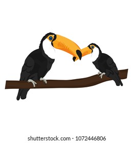 beauty toucan bird with it son in the branch