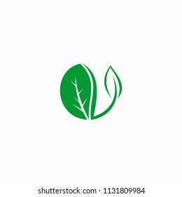 beauty tree leaf logo
