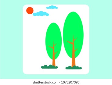 The beauty of the trees in the forest