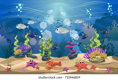 The beauty of underwater life with different animals and habitats. the beauty of coral, algae and marine fish