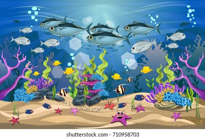 The beauty of underwater life with different animals and habitats. the beauty of coral, algae and marine fish
