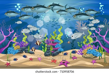 The beauty of underwater life with different animals and habitats. the beauty of coral, algae and marine fish
